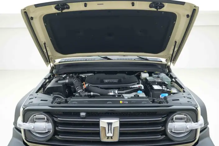 Tank 300 Hi4-T 2025 Model 2.0T Standard Model 37.1kW·h – фото 4