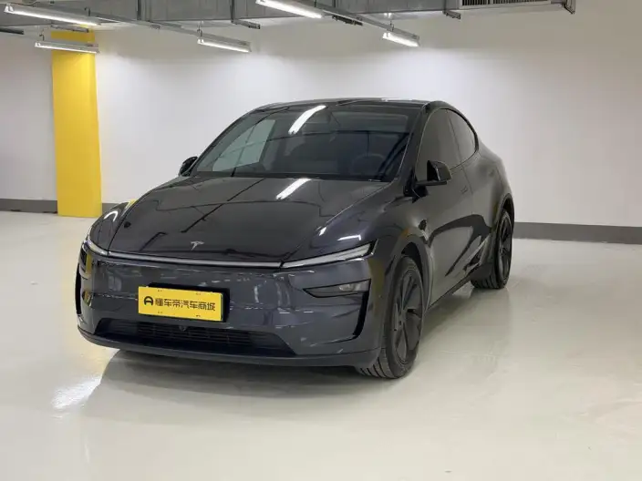Model Y 2025 Model Rear-wheel drive version – фото 1