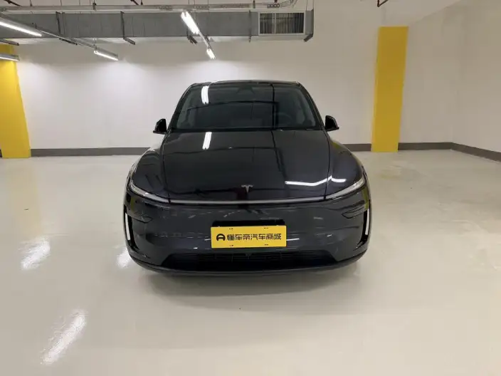 Model Y 2025 Model Rear-wheel drive version – фото 2