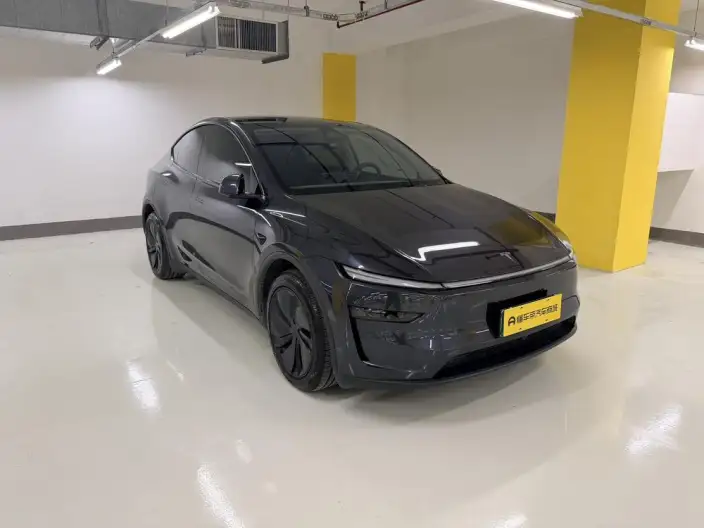 Model Y 2025 Model Rear-wheel drive version – фото 3