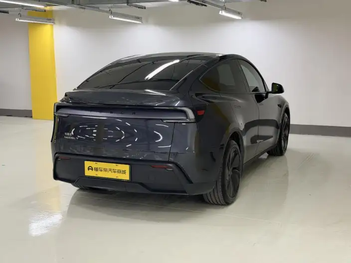 Model Y 2025 Model Rear-wheel drive version – фото 7