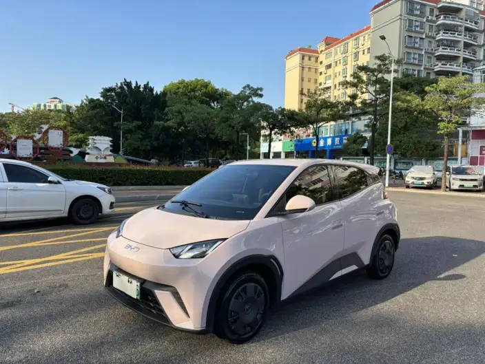BYD Seagull 2024 Model Honor Edition 305KM Vitality Edition – фото 1