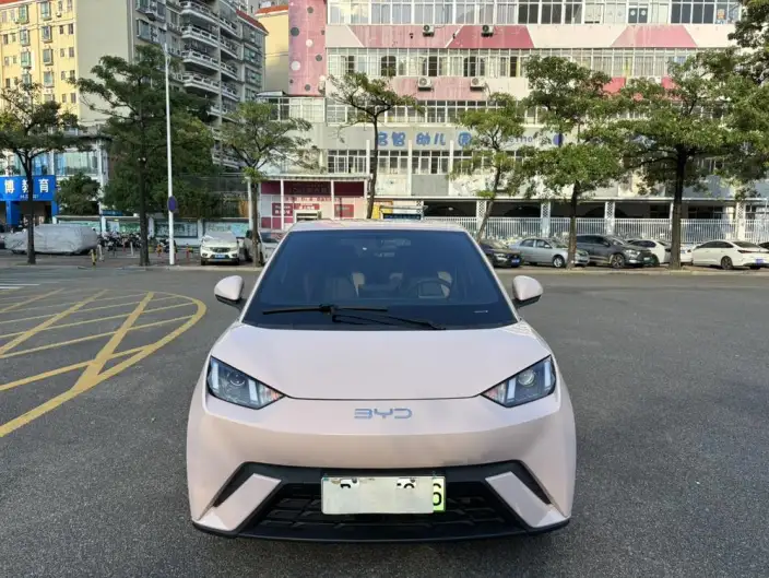 BYD Seagull 2024 Model Honor Edition 305KM Vitality Edition – фото 2
