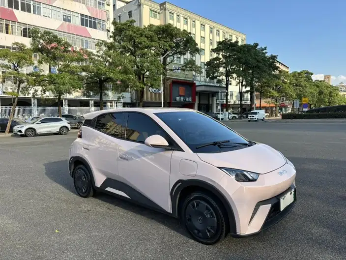 BYD Seagull 2024 Model Honor Edition 305KM Vitality Edition – фото 3
