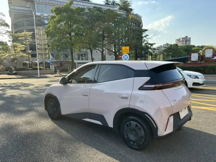 BYD Seagull 2024 Model Honor Edition 305KM Vitality Edition – фото 4