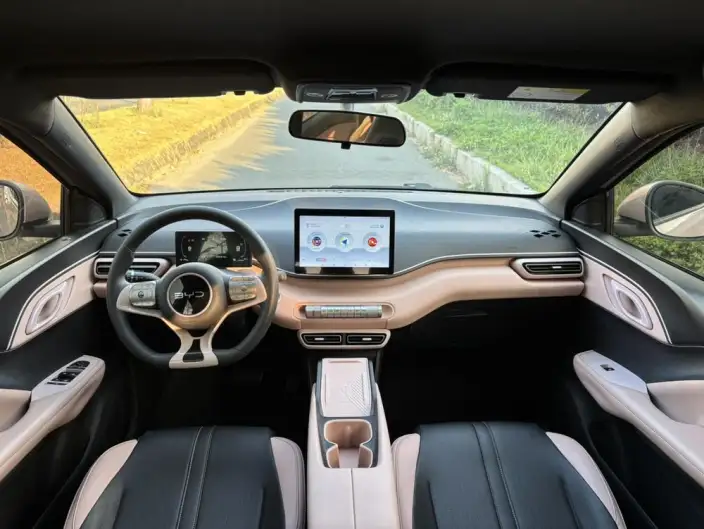 BYD Seagull 2024 Model Honor Edition 305KM Vitality Edition – фото 7