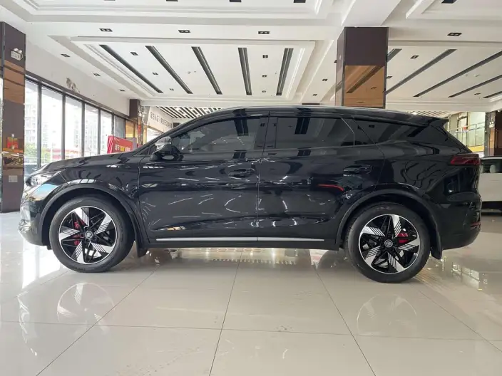 BYD Tang DM 2024 Model Honor Edition DM-i 112KM Zunrong Model – фото 4