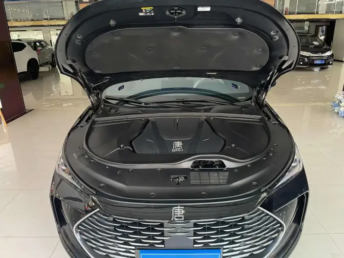 BYD Tang DM 2024 Model Honor Edition DM-i 112KM Zunrong Model – фото 8