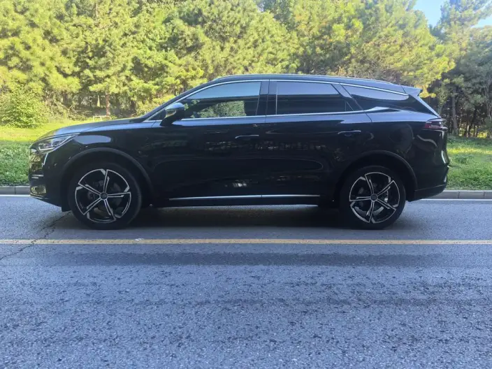BYD Tang DM 2021 Model DM-i 1.5T 112KM Zunrong Model – фото 4