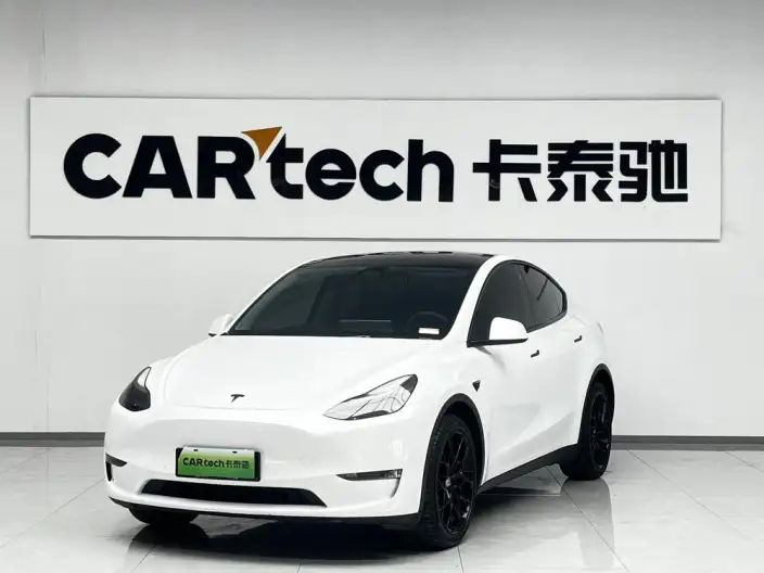 Model Y 2022 Model Long Battery Life Pro All-wheel drive version – фото 1