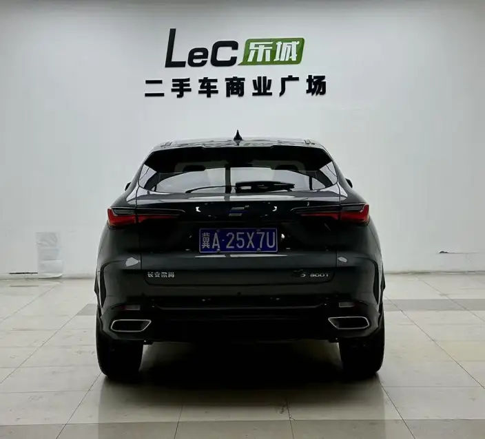 Changan Oshan X5 2022 Model Sports Edition 1.5T DCT Whirlwind Charge – фото 5
