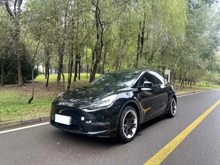Model Y 2021 Model Standard Battery Life Rear-wheel drive version – фото 1