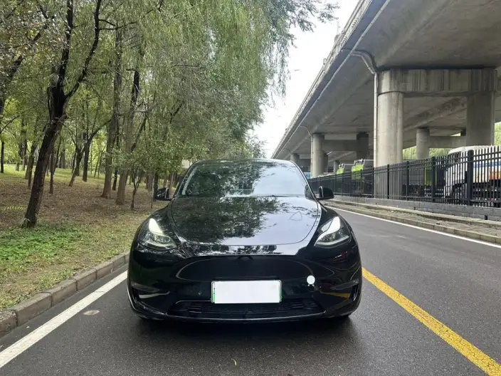 Model Y 2021 Model Standard Battery Life Rear-wheel drive version – фото 2
