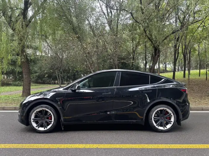 Model Y 2021 Model Standard Battery Life Rear-wheel drive version – фото 3