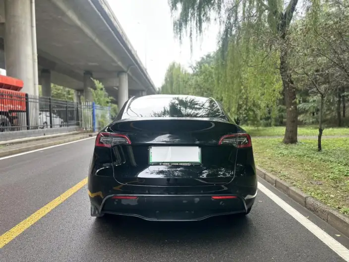 Model Y 2021 Model Standard Battery Life Rear-wheel drive version – фото 4