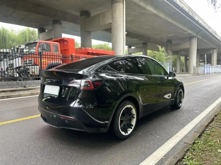 Model Y 2021 Model Standard Battery Life Rear-wheel drive version – фото 5