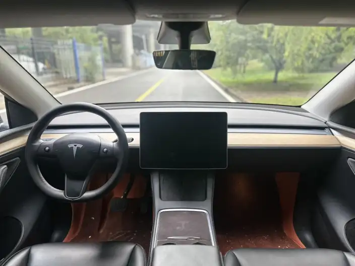 Model Y 2021 Model Standard Battery Life Rear-wheel drive version – фото 6