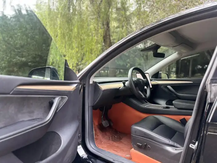 Model Y 2021 Model Standard Battery Life Rear-wheel drive version – фото 8