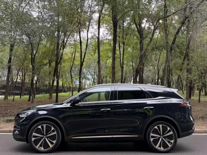 BYD Tang EV 2022 Model 635KM 4WD Flagship Model – фото 3