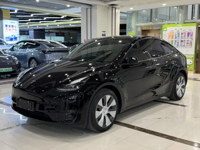 Model Y 2022 Model Facelift Rear-wheel drive version – фото 1