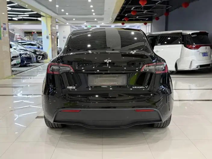 Model Y 2022 Model Facelift Rear-wheel drive version – фото 5