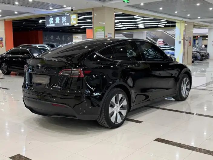 Model Y 2022 Model Facelift Rear-wheel drive version – фото 6