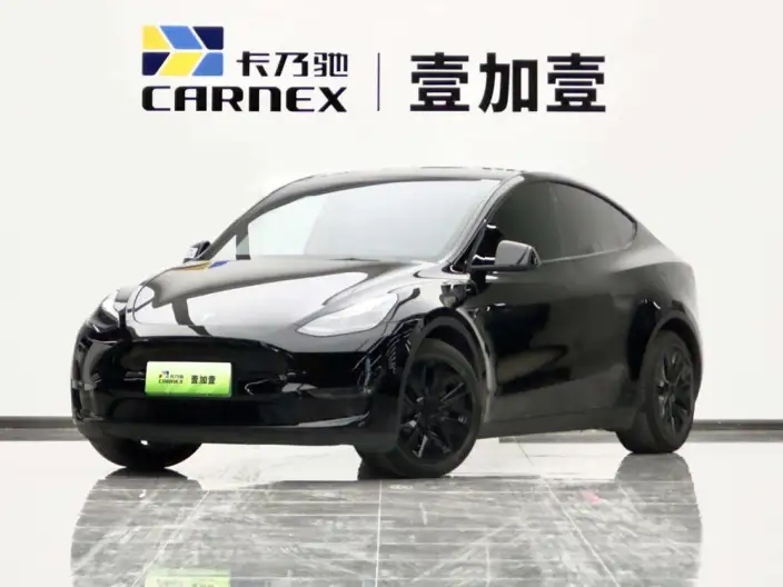 Model Y 2022 Model Long Battery Life Pro All-wheel drive version – фото 1