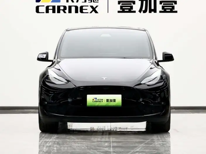 Model Y 2022 Model Long Battery Life Pro All-wheel drive version – фото 2