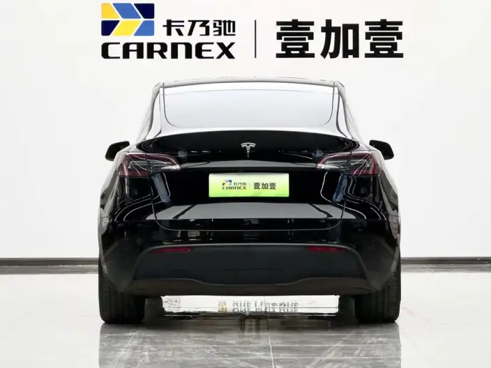 Model Y 2022 Model Long Battery Life Pro All-wheel drive version – фото 3