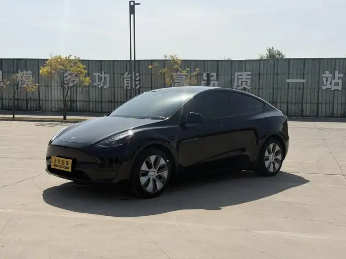 Model Y 2022 Model Facelift Rear-wheel drive version – фото 1