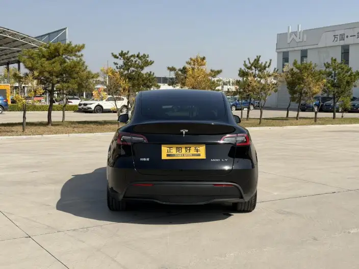 Model Y 2022 Model Facelift Rear-wheel drive version – фото 5