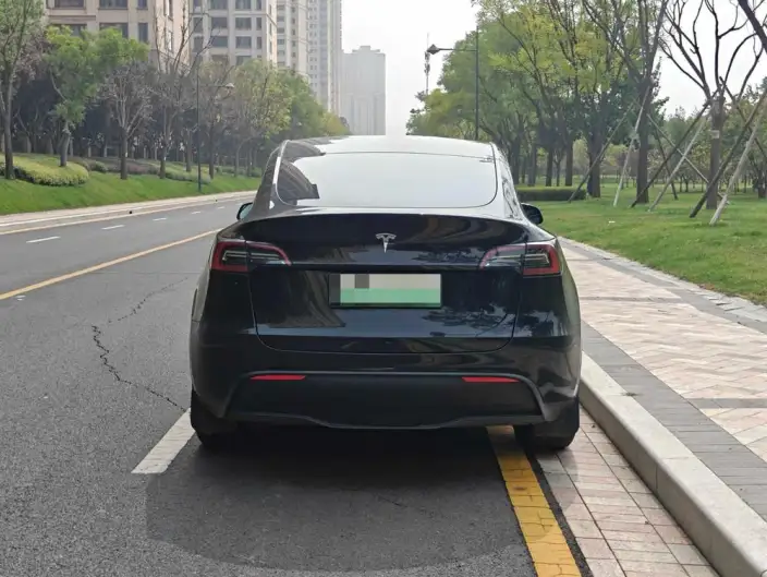 Model Y 2022 Model Facelift Long Battery Life Pro All-wheel drive version – фото 4