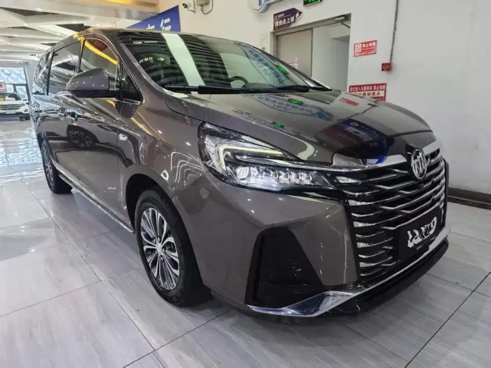 Buick GL8 2023 Model Business class 2.0T Luxury Model – фото 3