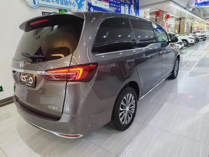 Buick GL8 2023 Model Business class 2.0T Luxury Model – фото 6