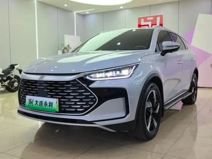 BYD Tang DM 2024 Model Honor Edition DM-i 112KM Zunrong Model – фото 1