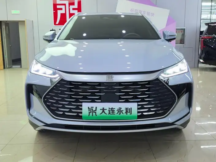 BYD Tang DM 2024 Model Honor Edition DM-i 112KM Zunrong Model – фото 2