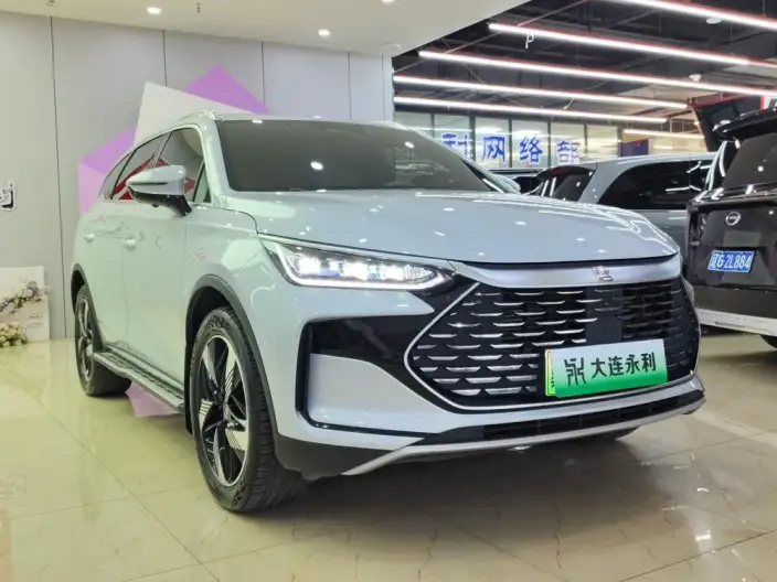 BYD Tang DM 2024 Model Honor Edition DM-i 112KM Zunrong Model – фото 3