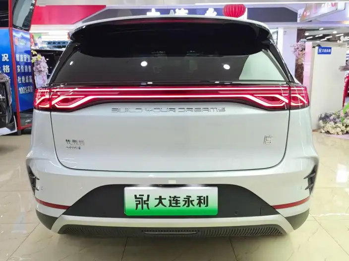 BYD Tang DM 2024 Model Honor Edition DM-i 112KM Zunrong Model – фото 5