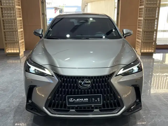 Lexus NX 2025 Model 200 Qian Drive FUN – фото 2