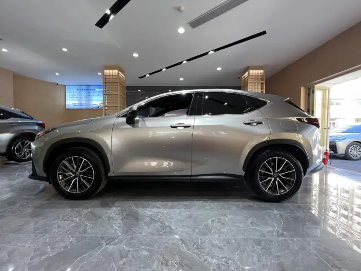 Lexus NX 2025 Model 200 Qian Drive FUN – фото 3