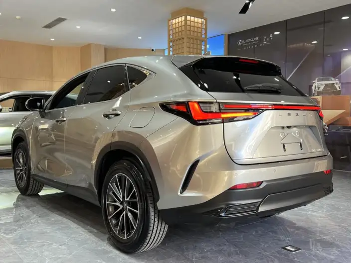 Lexus NX 2025 Model 200 Qian Drive FUN – фото 4