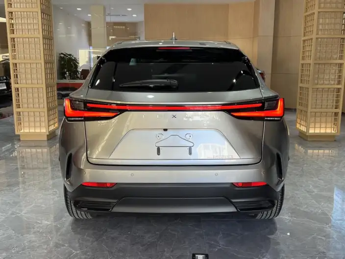 Lexus NX 2025 Model 200 Qian Drive FUN – фото 5