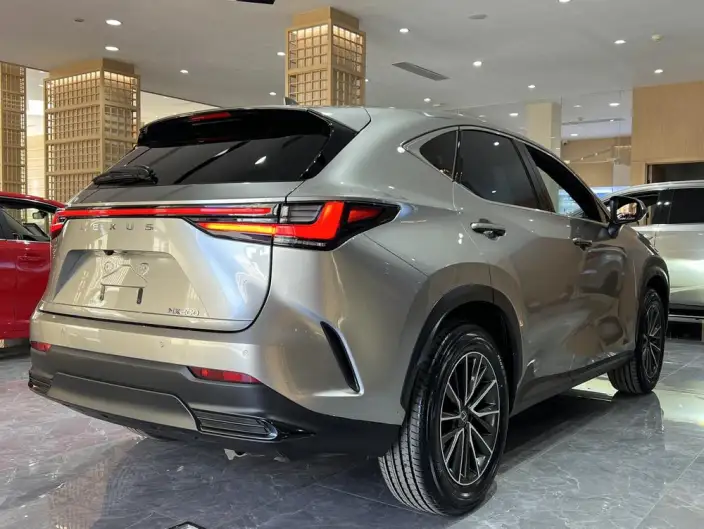 Lexus NX 2025 Model 200 Qian Drive FUN – фото 6