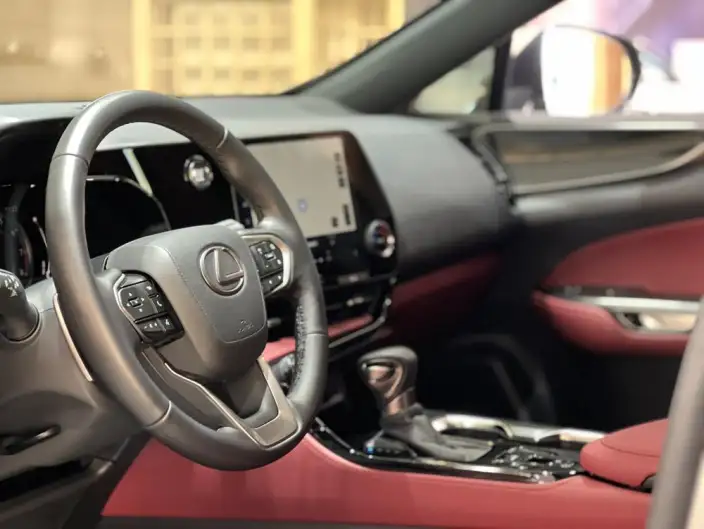 Lexus NX 2025 Model 200 Qian Drive FUN – фото 10