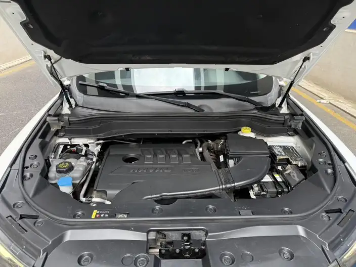 Haval H6 2021 Model Guo Trendy Edition 1.5T Automatic Champion Edition – фото 8