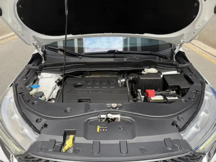Haval M6 2021 Model PLUS 1.5T DCT Luxury Smart Connect Model – фото 8