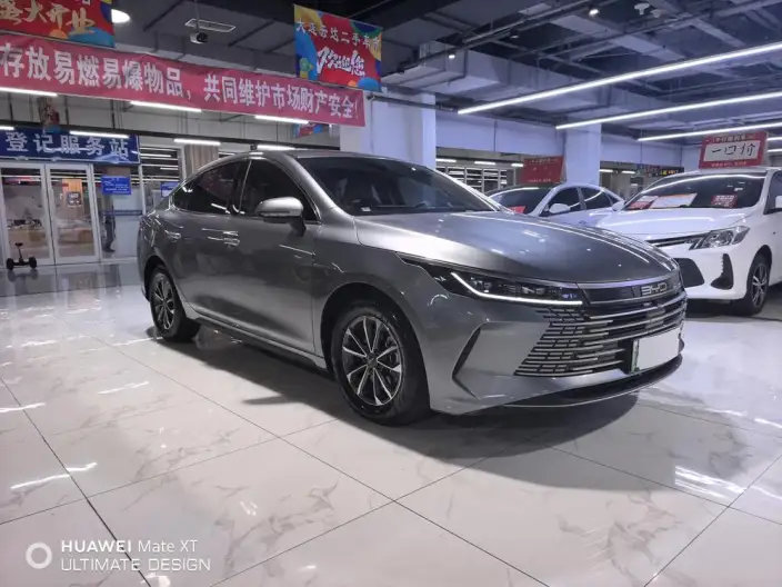 BYD Destroyer 05 2024 Model Honor Edition DM-i 55KM Luxury Model – фото 3