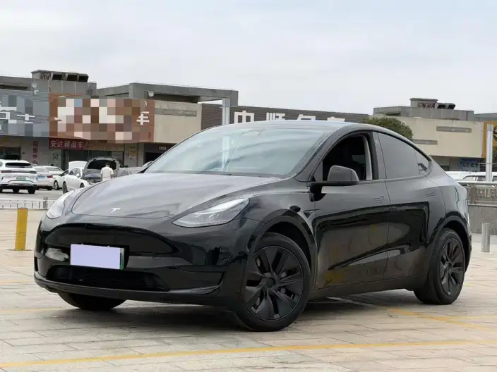 Model Y 2024 Model Rear-wheel drive version – фото 1