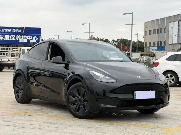Model Y 2024 Model Rear-wheel drive version – фото 3