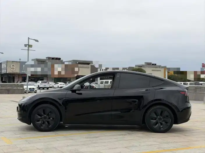 Model Y 2024 Model Rear-wheel drive version – фото 4